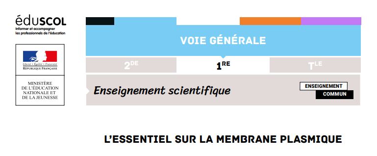 La membrane plasmique