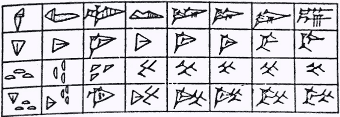 Cuneiformes